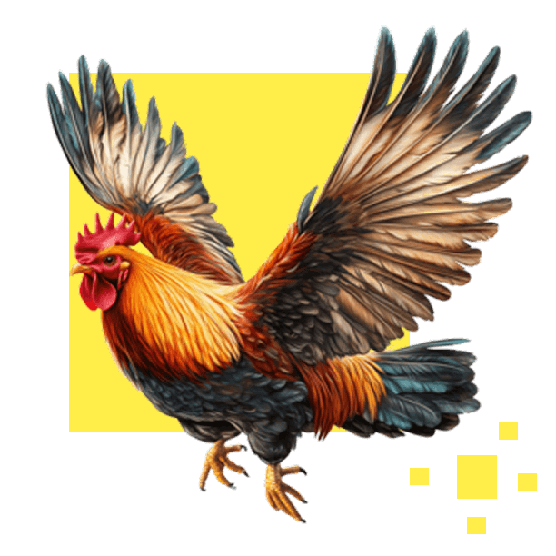 bj66-right-img-txt-sec